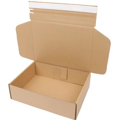 Le petit carton de pliage d'empreinte de pas collant la machine facile actionnent la longue durée de vie